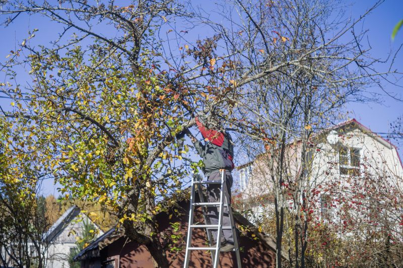 Residential Tree Service detail